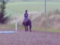 Ebony Jumping x