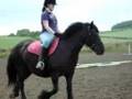 Ebony Jumping x