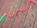 Outdoor domino rally