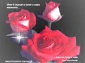 amiga   luis enrique ascoy www vivexto com