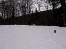 voeges 08