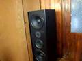 Tonsil Scherzo 350 test