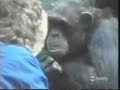 Funny Animal Videos