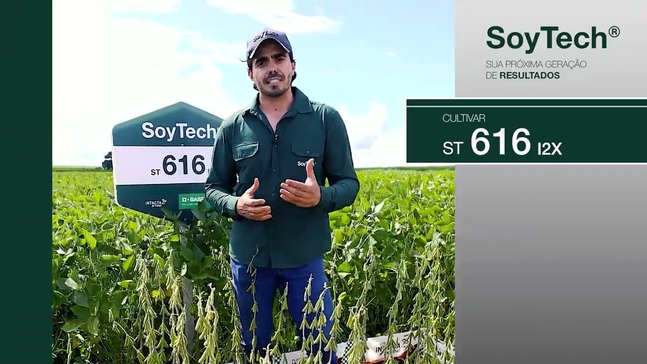 ST 616 I2X SoyTech®: como a cultivar se comporta em regiões de altas temperaturas?