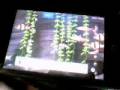 videos de Freshwater Aquarium 1.07 preview  3 fish tank