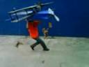 Rodrigo avi�o Purina.3GP