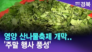[R]영양 산나물축제 개막..'주말 행사 풍성'