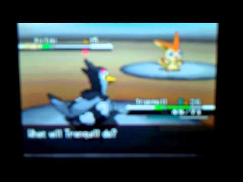 how to get victini in pokemon rumble u
