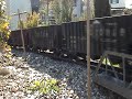 G-scale