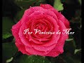 para uma menina com uma flor