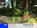 Tener una casa verde con huerto es posible