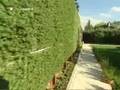 Tener una casa verde con huerto es posible