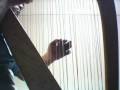 videos de 【アイリッシュハープ演奏】ダニーボーイ（Danny Boy）