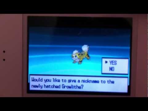 how to get shiny dw pokemon