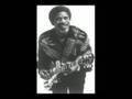    Luther Allison