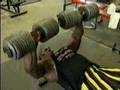 Real-Big-Muscles