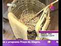 Reportagem - Lagares Alij� - Pra�a Alegria