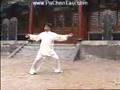 Chen Taijiquan Da(Xin)jia Yi-lu w/Chen Xiao-Xing (Part 1)