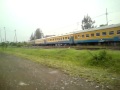 kereta api logawa purwokerto - jember lewat tetek pasar nongko soloMP4