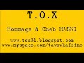 T.O.X -Hommage a cheb HASNI