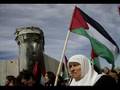 SEVEN8SIX PALESTINE