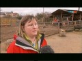 Down syndrome:&nbsp;Down Syndrom Tag