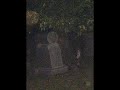 Can you see a ghost? Can you see a ghost?