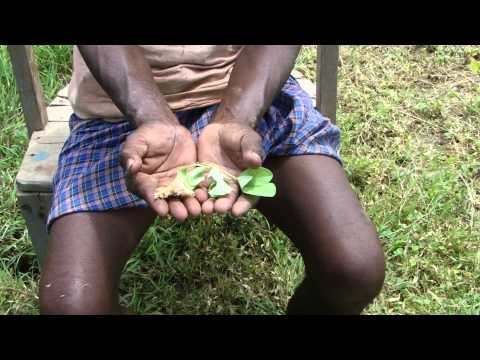 how to relieve otorrhoea