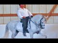 Querubium do Vouga & Mario Contreras - The Bullfighter! Querubium do Vouga & Mario Contreras - The Bullfighter!