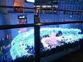 カレッタ汐留 [Caretta Blue Ocean X'mas Illumination in Tokyo 2009]