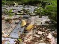 Het Paradijsje in Venlo deel 1
