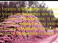ONTARIO FOREST MANAGEMENT ONTARIO FOREST MANAGEMENT