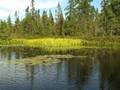 Adirondacks 2008