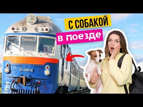 Видео: WoeylkKYCuQ