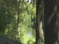 WAY Before Columbus or the Egypt Pyramids Washitaw 1 of 4