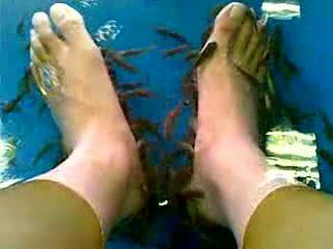 garra
