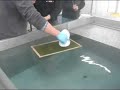 WTD Schulung WTD Schulung