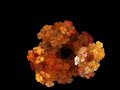 Apophysis - fractal experimentation