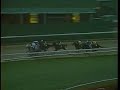 1988 Breeders Cup Classic 1988 Breeders Cup Classic