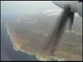 Divi Divi Curacao To Bonaire Divi Divi Curacao To Bonaire