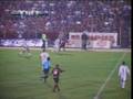 Rubronegro