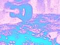 clip video Jeff Buckley So Real