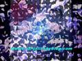 clip video Cheb Nasro Aiti �la Rouhek Takadbi