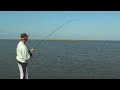 Alman Fly fishing For Red Fish