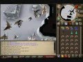 Dark Ace 515's Guide to Tanking Aviansies