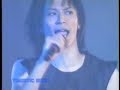 振動 / TRANSTIC NERVE