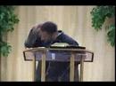 Leave Like This- Pastor Michael McLymore Sr. Leave Like This- Pastor Michael McLymore Sr.