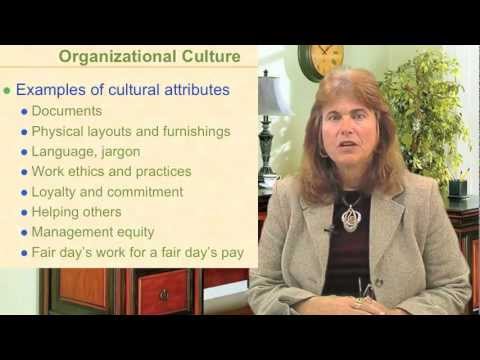 how to define organizational culture