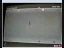 is beberle2 a fake real proof