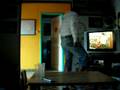 videos de peligroso subnormal